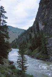 Middle Fork of the Salmon River